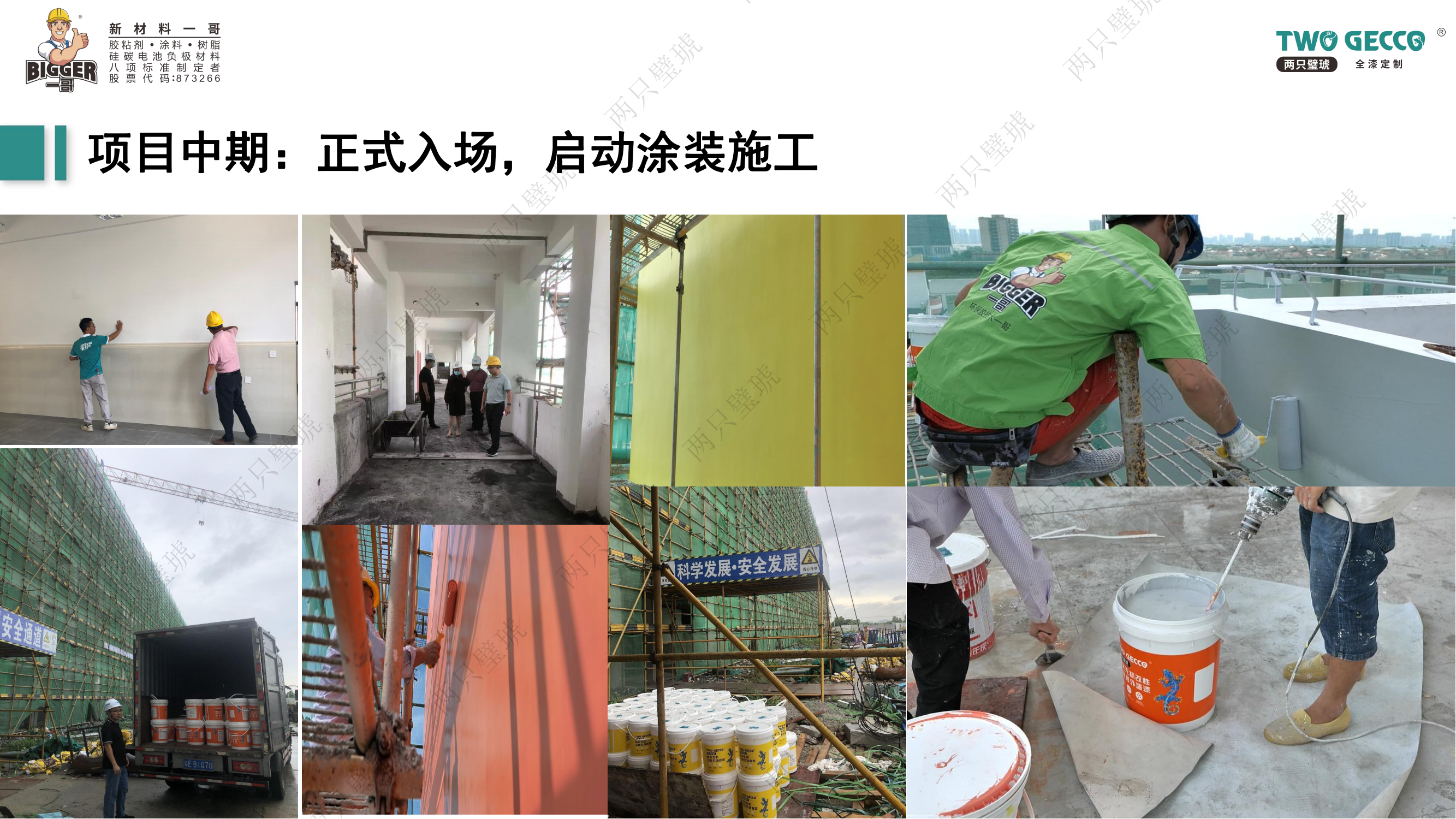 兩只璧琥全漆定制項目前中后解決方案合集_25