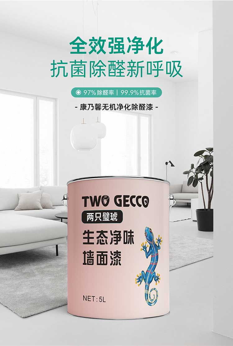 康乃馨無機凈化除醛漆_03